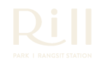 Rill-CI-01